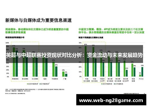英超与中超联赛投资现状对比分析：资金流动与未来发展趋势