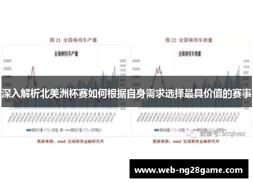 深入解析北美洲杯赛如何根据自身需求选择最具价值的赛事